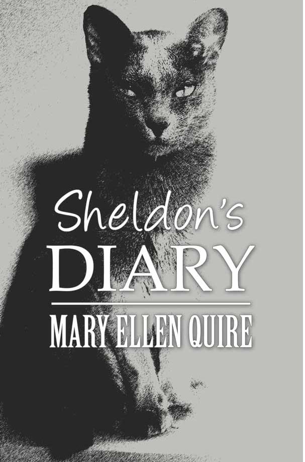 Sheldon's Diary Cover Pic